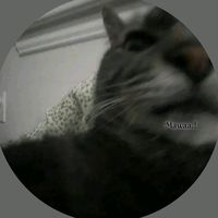 _mawaa1025