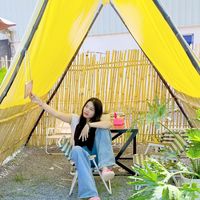arysingle05