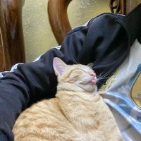 nhạc nền - Cục cưcs đeos vô truy👾🕶️🫶🏻