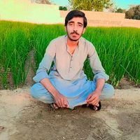 bilalarainmianwali4
