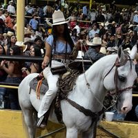 aceves_4