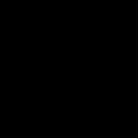 gallitomtz1
