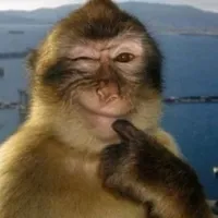 original sound - hikaru12785