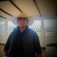 yamadandres