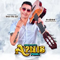 original sound - aynisperu