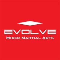 original sound - Evolve MMA