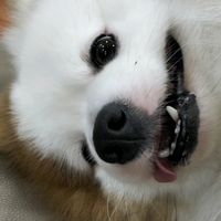 justin_isbread