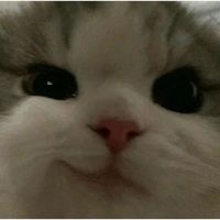 zu_to_issyo