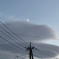 オリジナル楽曲 - べこ