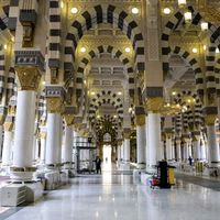 hanenbensaleh998