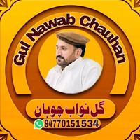 gullnawab315