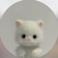 popo_o0