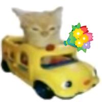 jshd_nssb