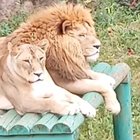 original sound - abdlkerim.bardak67