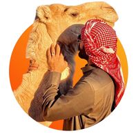 الصوت الأصلي