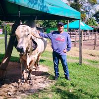 Paco Pineda No Volveré