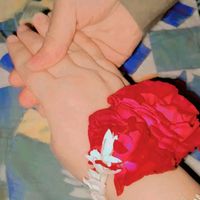 bestcouple451