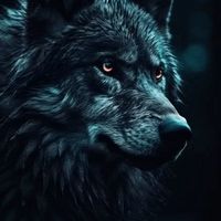 nhạc nền - Có sao dâu  📻