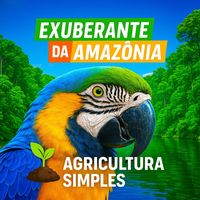 exuberantedaamazonia