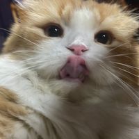 ple_e01