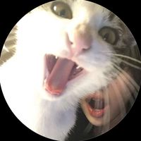 .nmnr