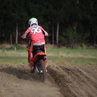 96_tatedavidson