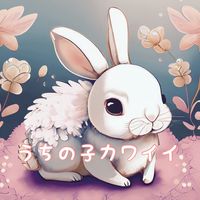 uchinokokawii