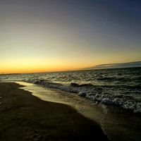 alondracoliazaca7