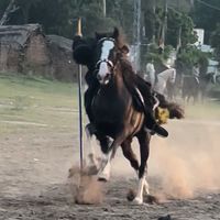rajahaidar65