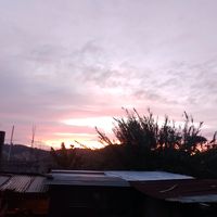 azu28196