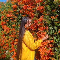 original sound - user2910439848074