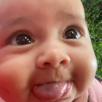 edison_py66