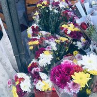 original sound - lvhsss