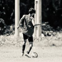 lazarof8