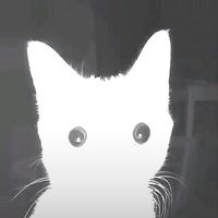 オリジナル楽曲 - 蓮😈🖤