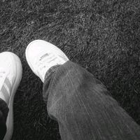 sele.dz16