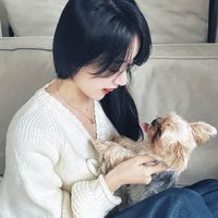 nhạc nền - Yni🌾