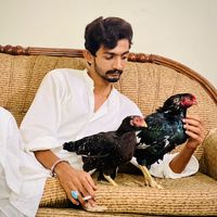 daniawan772
