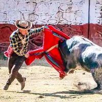 sonido original