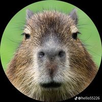 オリジナル楽曲 - 飼い主