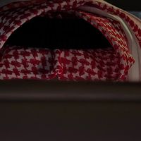 الصوت الأصلي