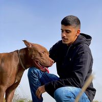 filus_the_pitbull