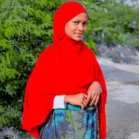 mss.kawol