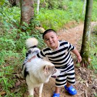 เสียงต้นฉบับ - martin_rodtung