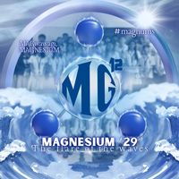 magniverse2k29