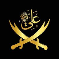 muhammadamilshah0