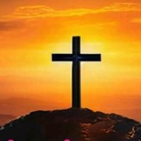 .840599131375konijti