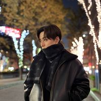 sena112121