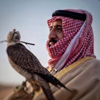 جفران بن هضبان
