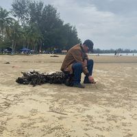 bunyi asal - ✿꧁Gn♛Ytg♛MX꧂✿